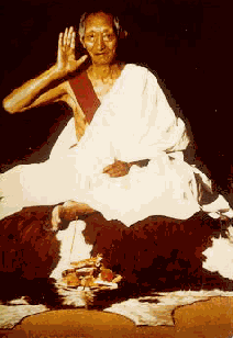 Kalu Rinpoche Img3