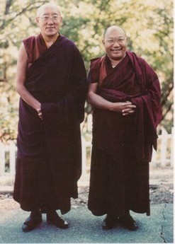 Bokar Rinpoche